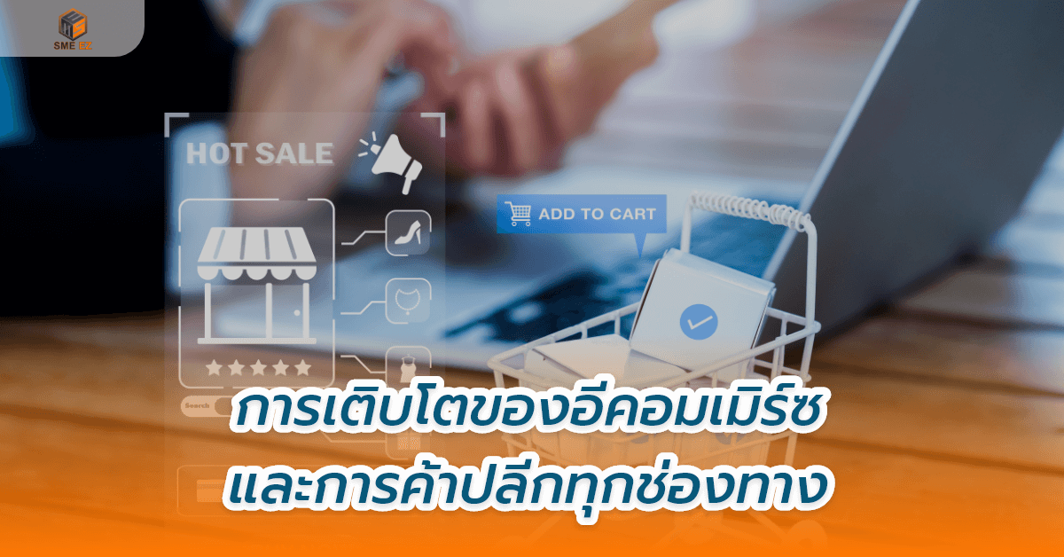 smez article – การเติบโตของอีคอมเมิร์ซและการค้าปลีกทุกช่องทาง